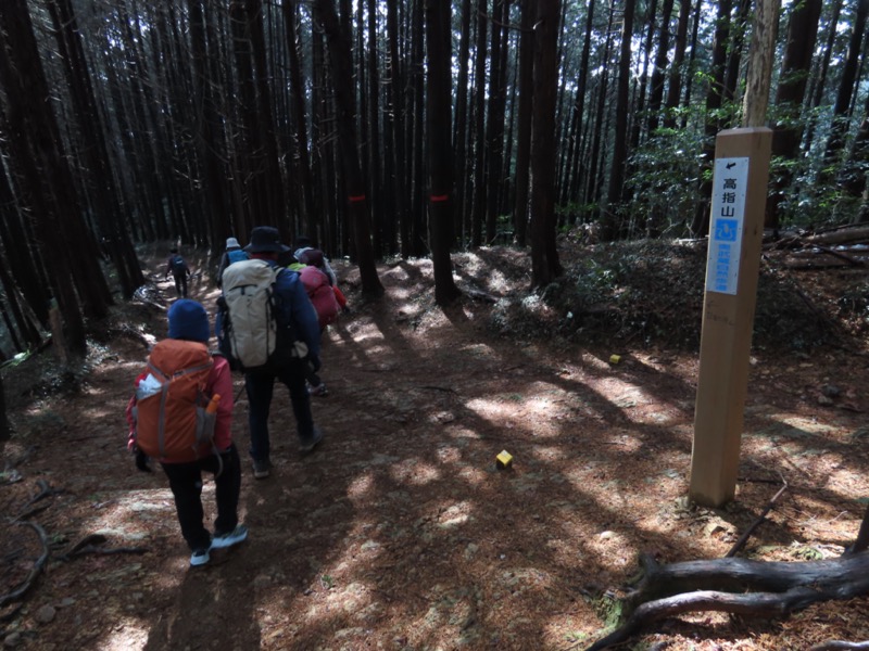 日和田山、物見山